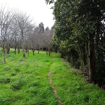 Mar Del Norte * Salamir