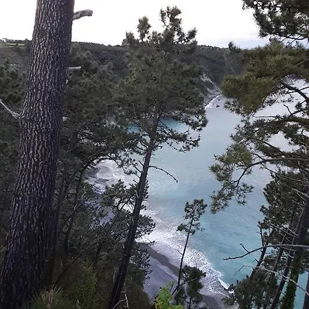 Mar Del Norte *