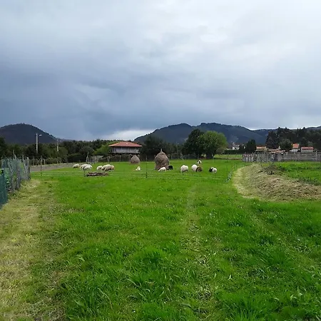 Mar Del Norte