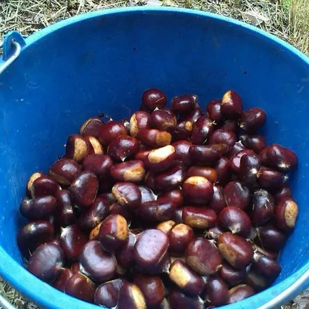 Casa vacanze Mar Del Norte Salamir